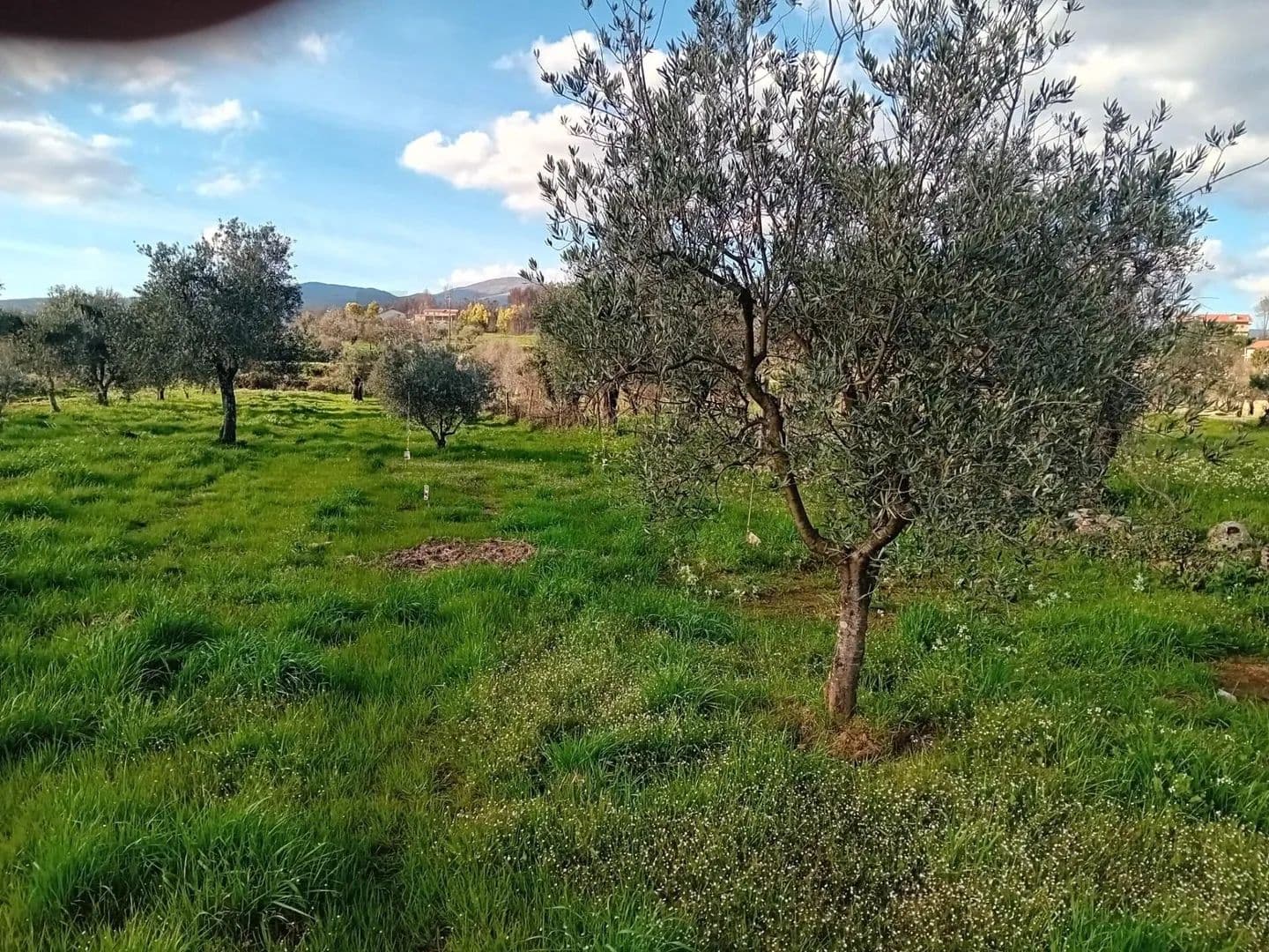 1040 Acres of Land for Sale in Paul, Covilhã - land for sale