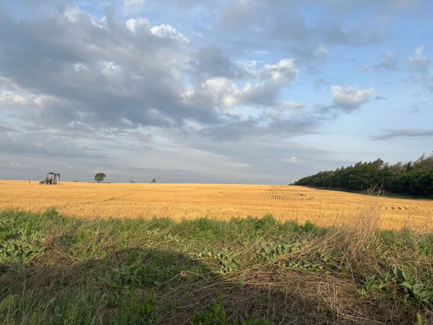 Property from 0000 NW 50 Avenue - KW - Hoisington, Kansas, 67544