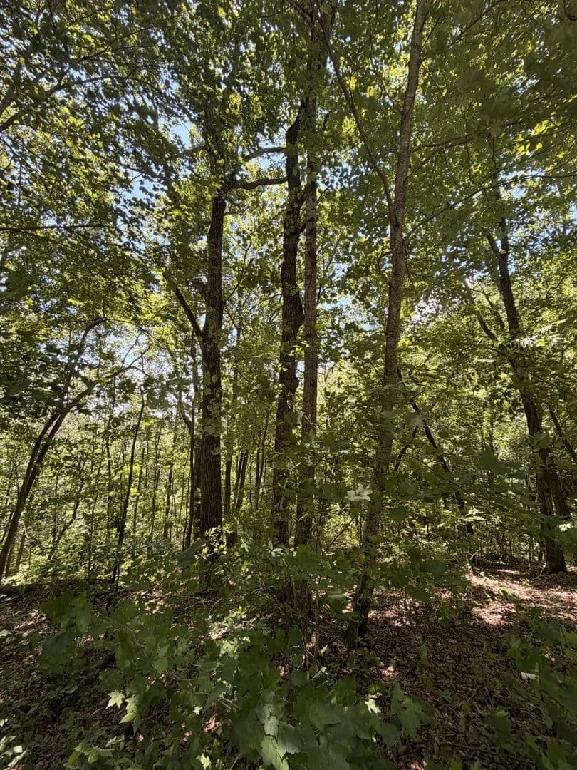 0.71 Acres of Land for Sale in Smithville, Tennessee - Smithville, Tennessee, 37166