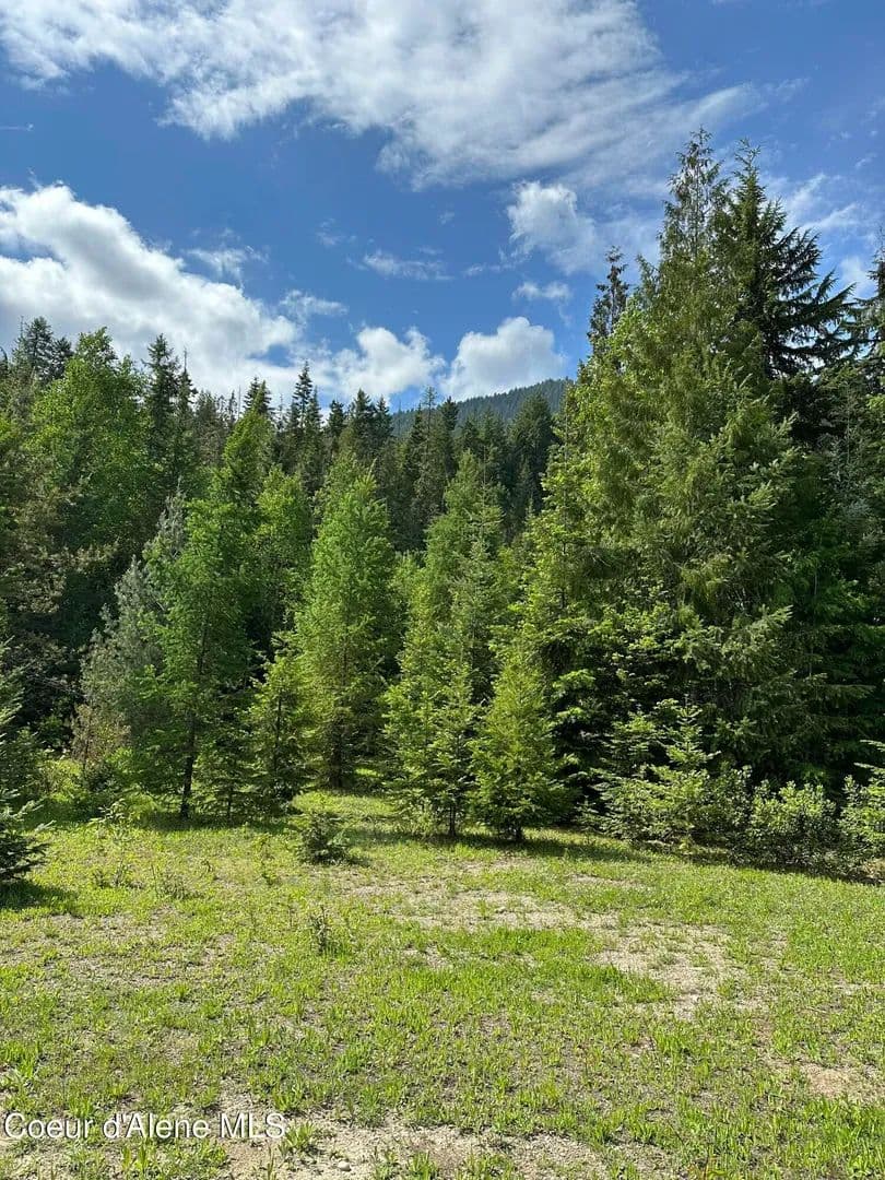 Property from 5784 River RD - KW - Clark Fork, Idaho, 83811