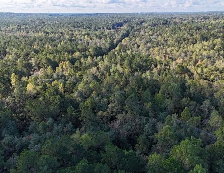 62 Acres in Forrest County in Hattiesburg, MS