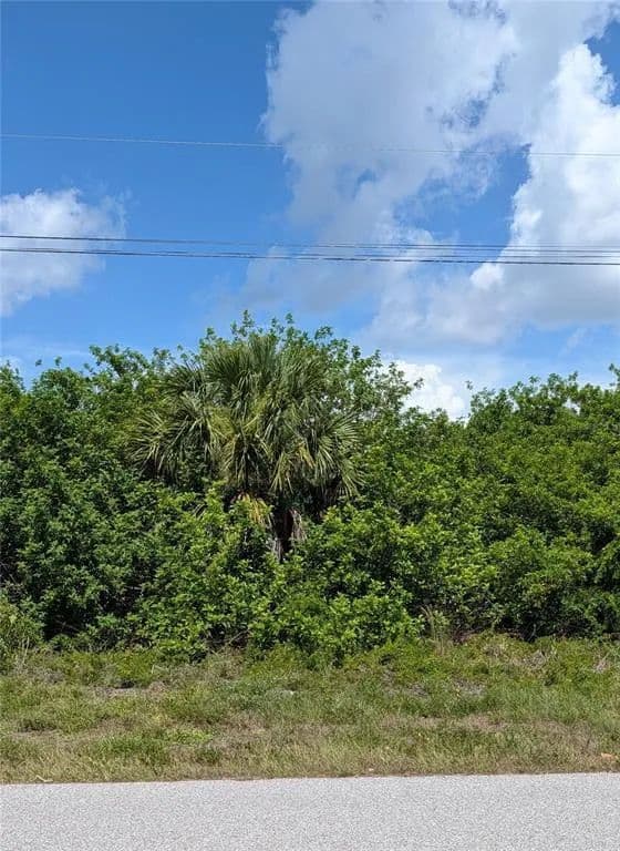 Vacant Land in Port Charlotte - Port Charlotte, Florida, 33981