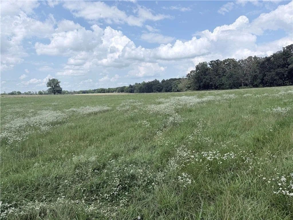 Lots & Land-Other in Maysville - Maysville, Arkansas, 72747