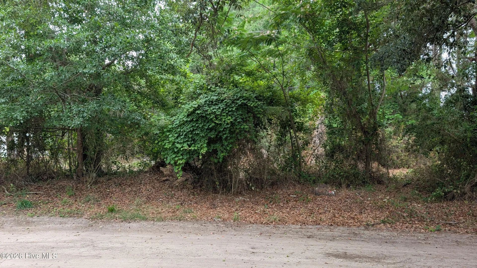 Vacant Land in Hampstead - Hampstead, North Carolina, 28443