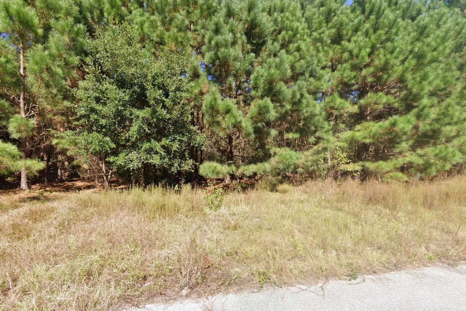 Lots & Land-Other in Johnsonville - Johnsonville, South Carolina, 29555