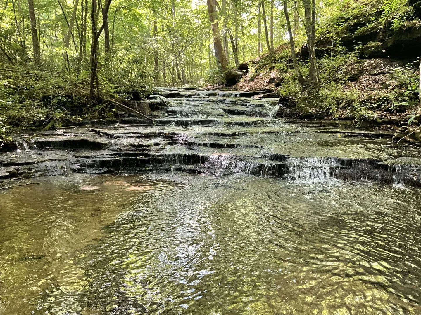 Property from 0 Fergus Ln - KW - Tullahoma, Tennessee, 37388