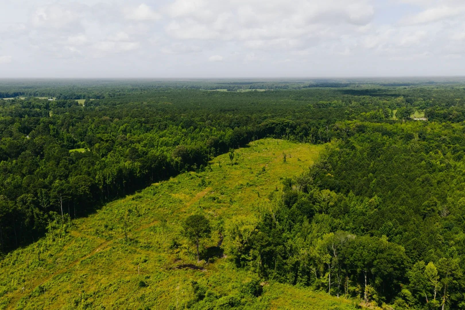 70 Acres in Scott County, MS - Forest, Mississippi, 39074