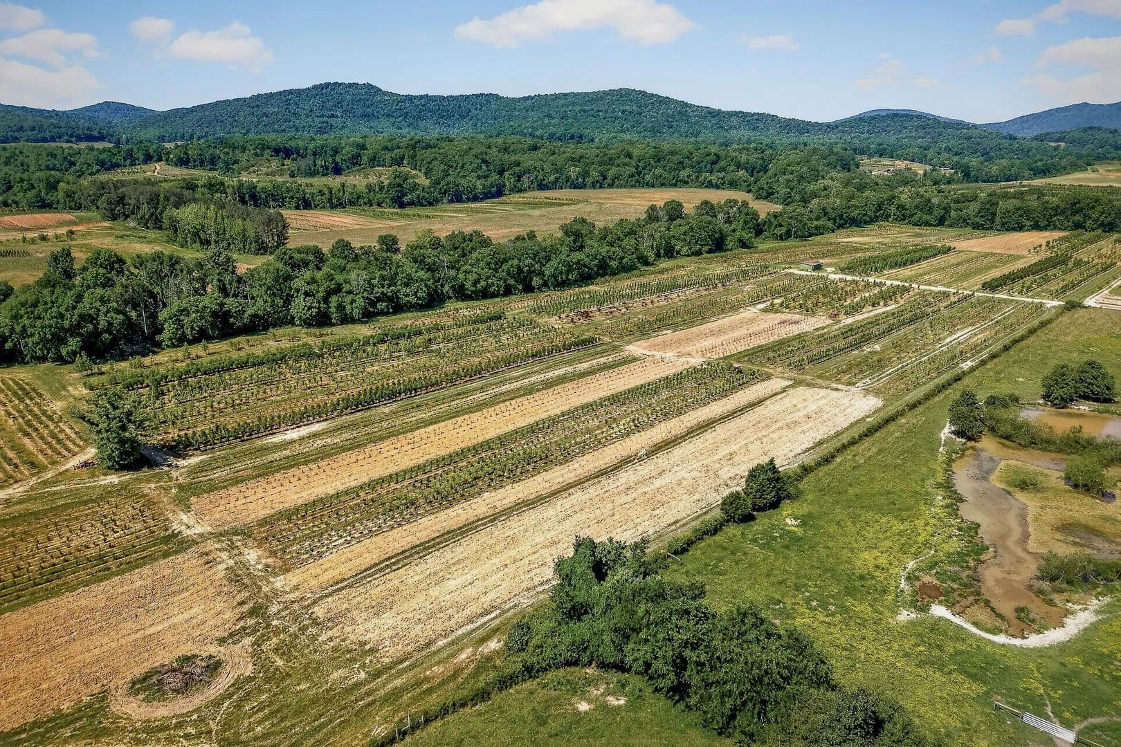 Property from 2 Hills Creek Rd - KW - McMinnville, Tennessee, 37110