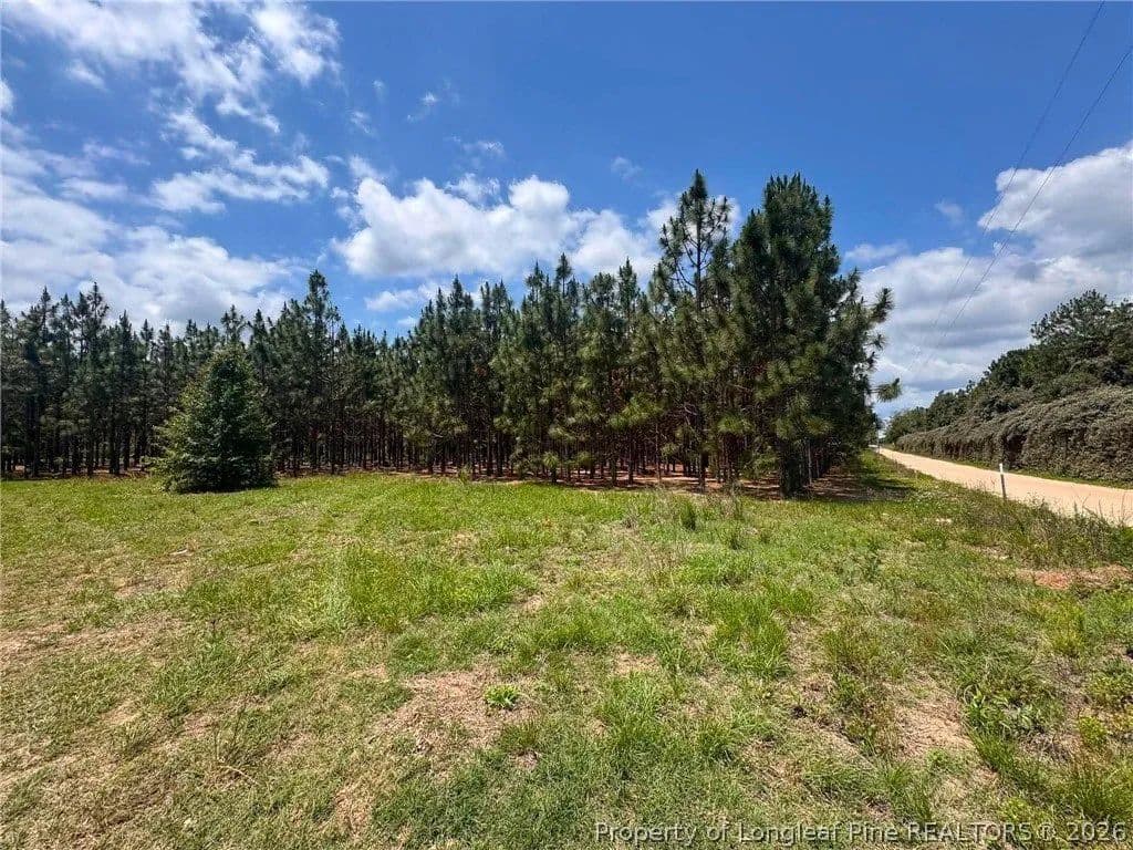 Lots & Land-Other in Raeford - Raeford, North Carolina, 28376