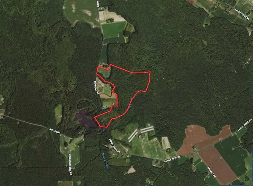 UNDER CONTRACT!! 52 ACRES - GREAT OPPORTUNITY FOR A WOODED TRACT IN RURAL SOUTHAMPTON COUNTY, VIRGINIA