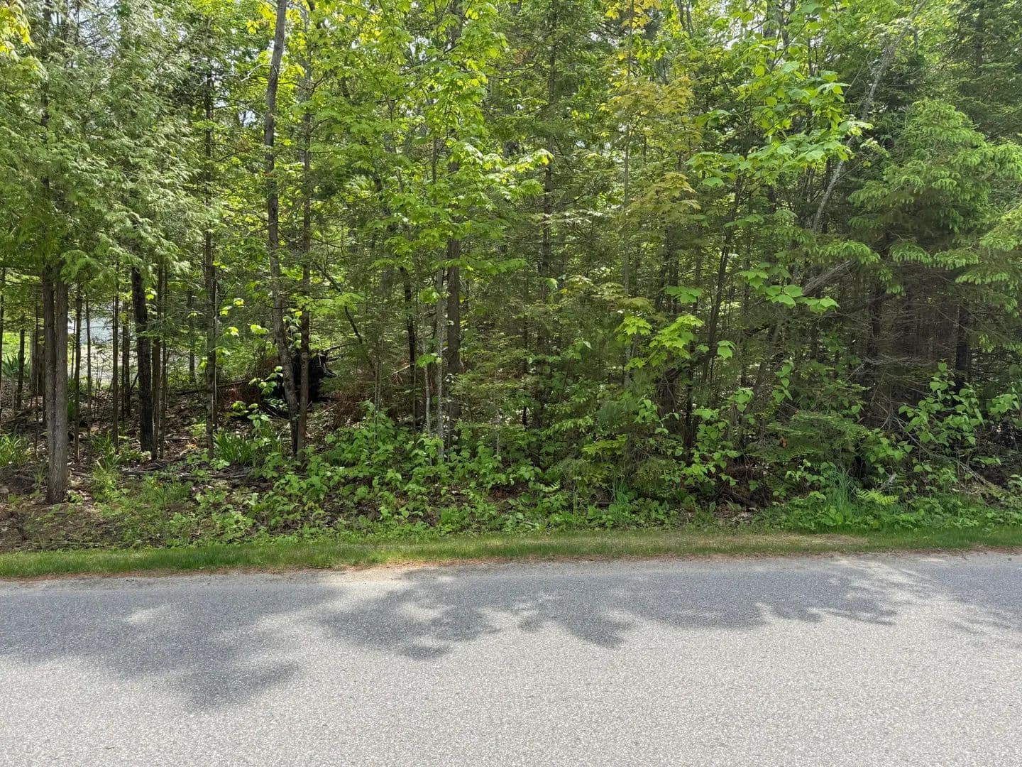 Property from 8340 Cordwood Trail - KW - Cheboygan, Michigan, 49721