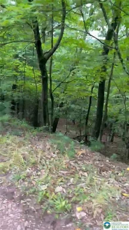 4 Acres of Land for Sale in Luzerne, Pennsylvania - Luzerne, Pennsylvania, 18655