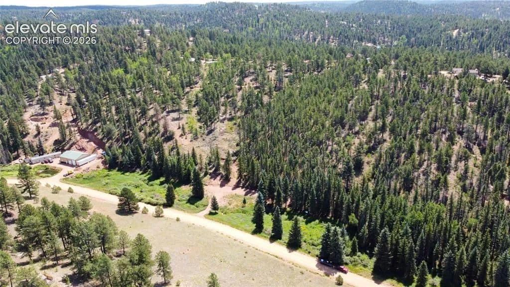 6.11 Acres of Land for Sale in Florissant, CO - Florissant, Colorado, 80816