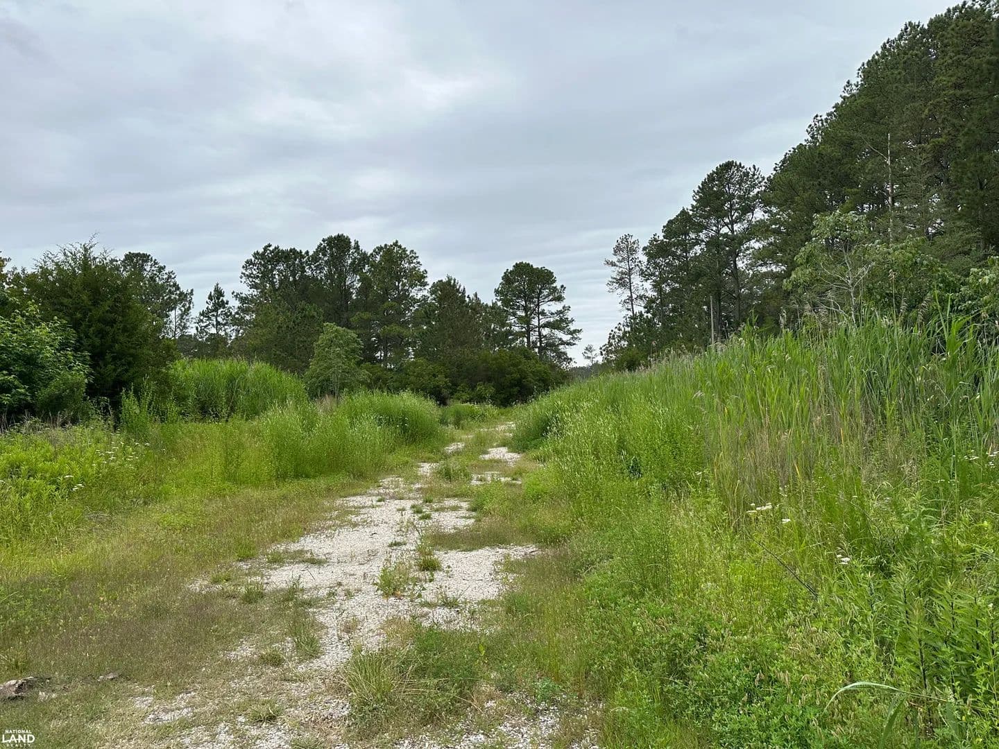 Trower Rd Lot - Wachapreague - Quinby, Virginia, 23423