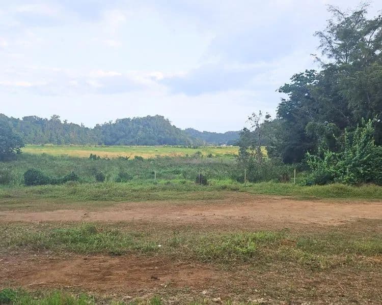 1000 Acres of Land for Sale in Arecibo - land for sale