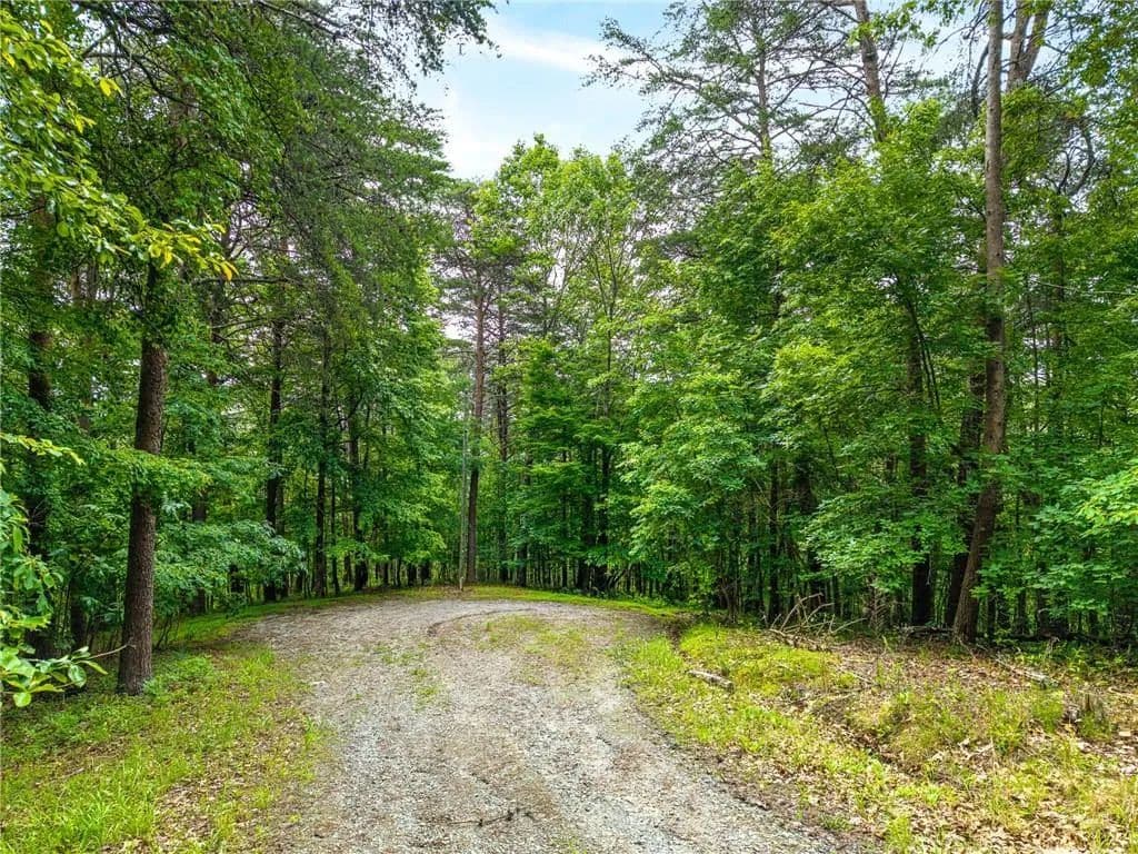 Property from 1332 Birch Lane NE - KW - Ranger, Georgia, 30734