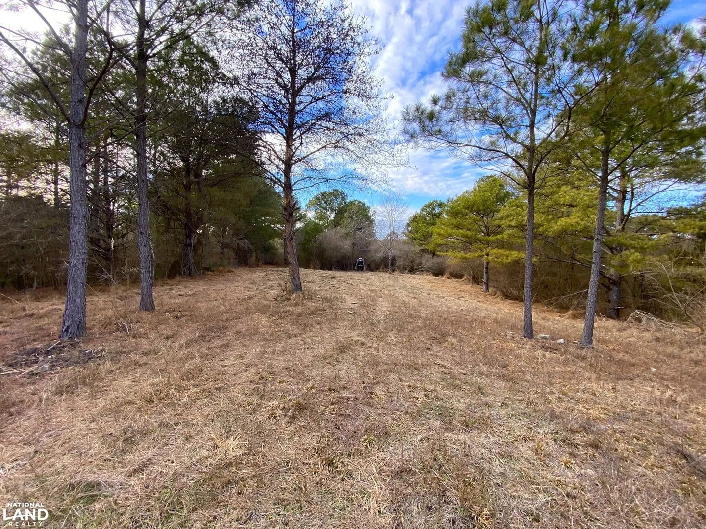 Dry Creek - Hunting & Recreation Tract - Eldridge, Alabama, 35554
