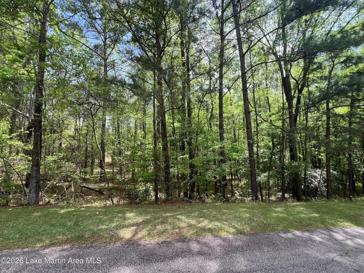 Land for Sale in Dadeville, AL - Dadeville, Alabama, 36853