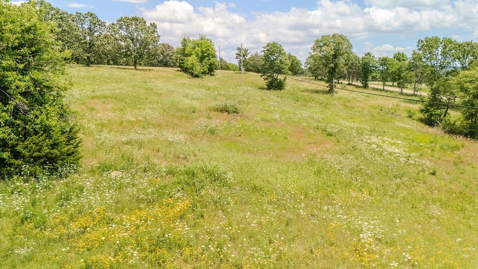9 Acres of Land for Sale in Protem, MO - Protem, Missouri, 65733