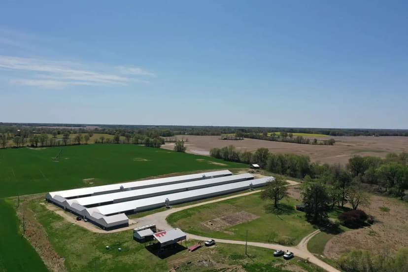 SALE PENDING - Ahmed Breeder Farm – Three House Farm near Kenton, TN