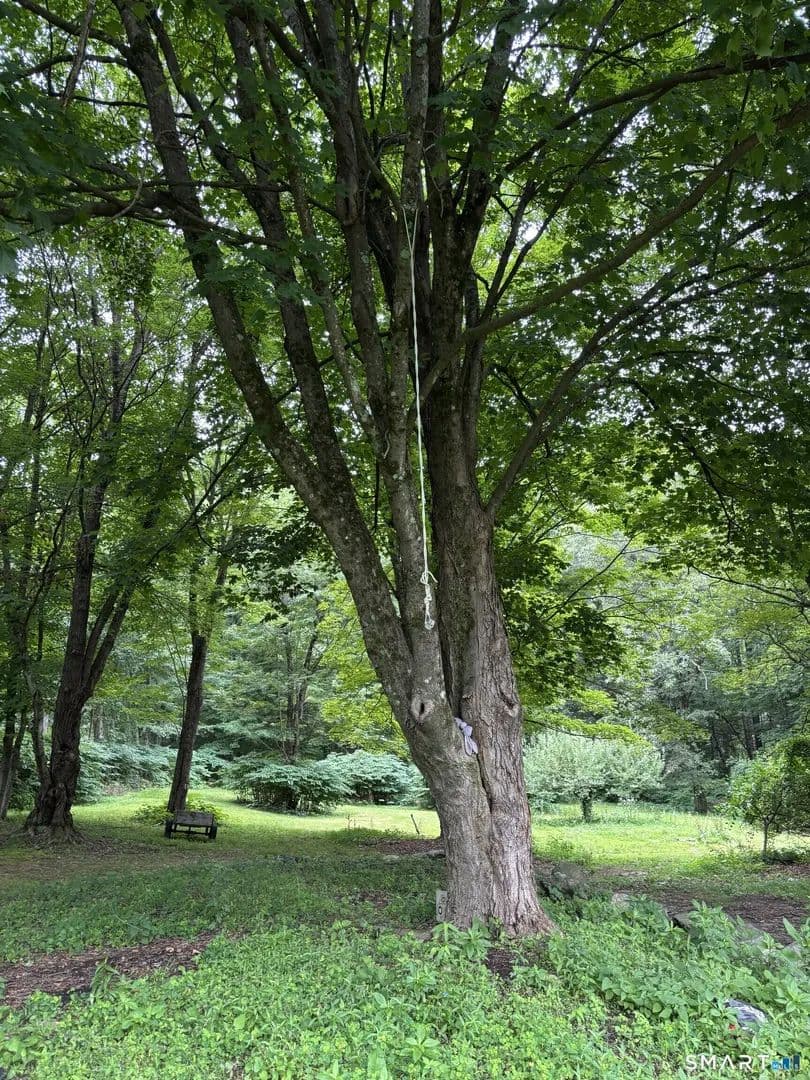 1.79 Acres of Land for Sale in Avon, CT - Avon, Connecticut, 06001
