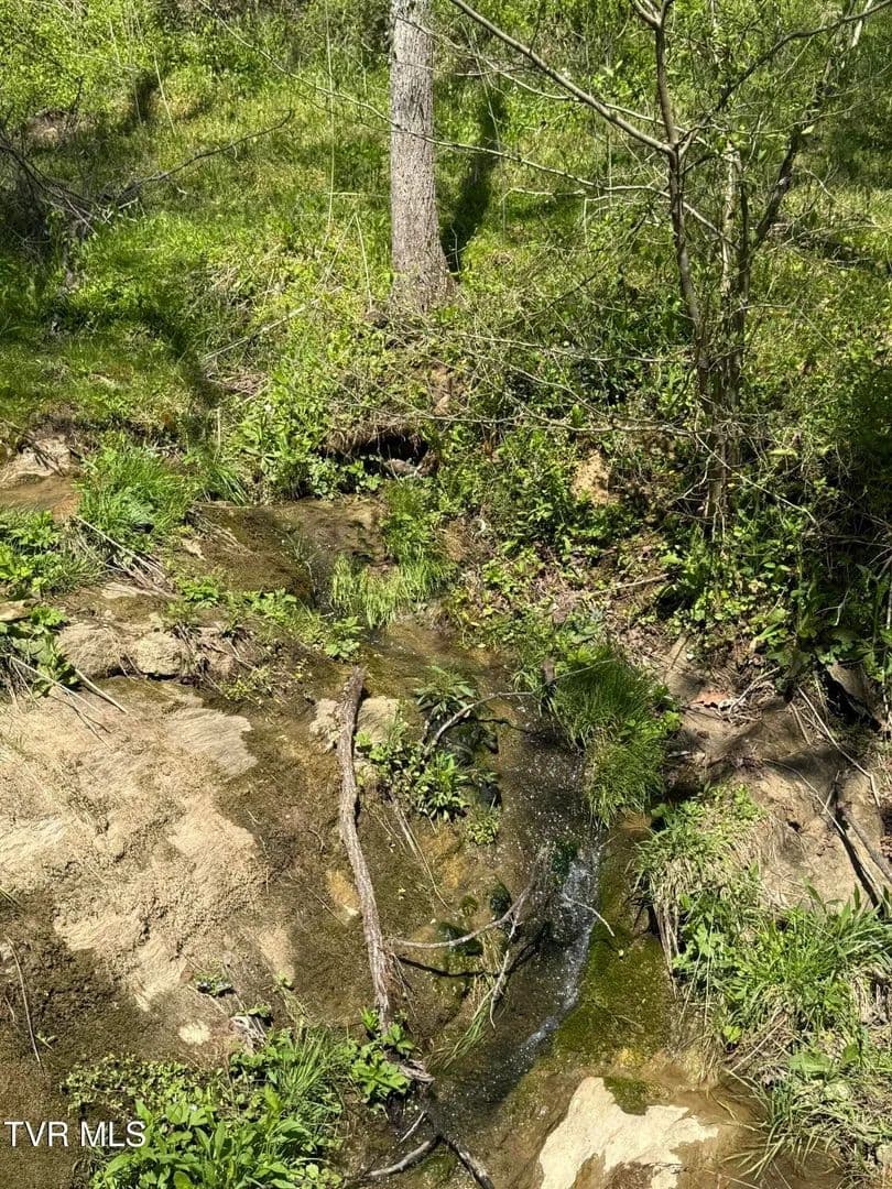 Property from 0000 Goshen Valley (64 Acres) Road - KW - Church Hill, Tennessee, 37642