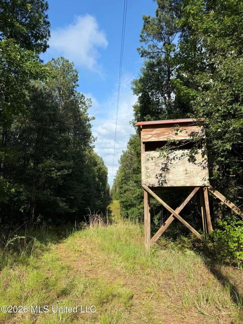 50 Acres of Land for Sale in McCool, MS - Mccool, Mississippi, 39108