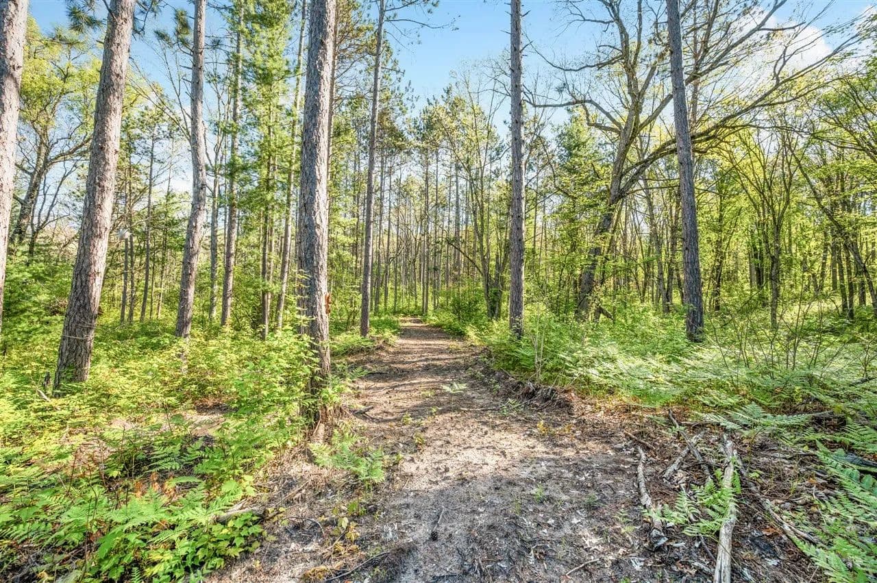 Property from V/L Nelson St - KW - Baldwin, Michigan, 49304