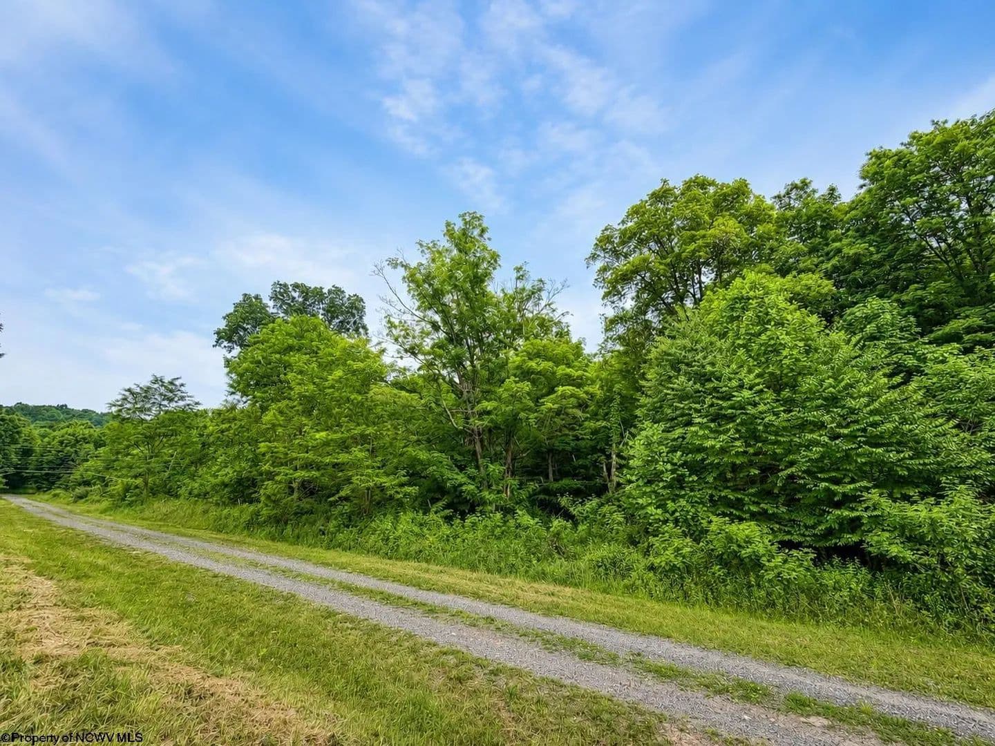 2 Acres of Land for Sale in Dryfork, West Virginia - Dryfork, West Virginia, 26263