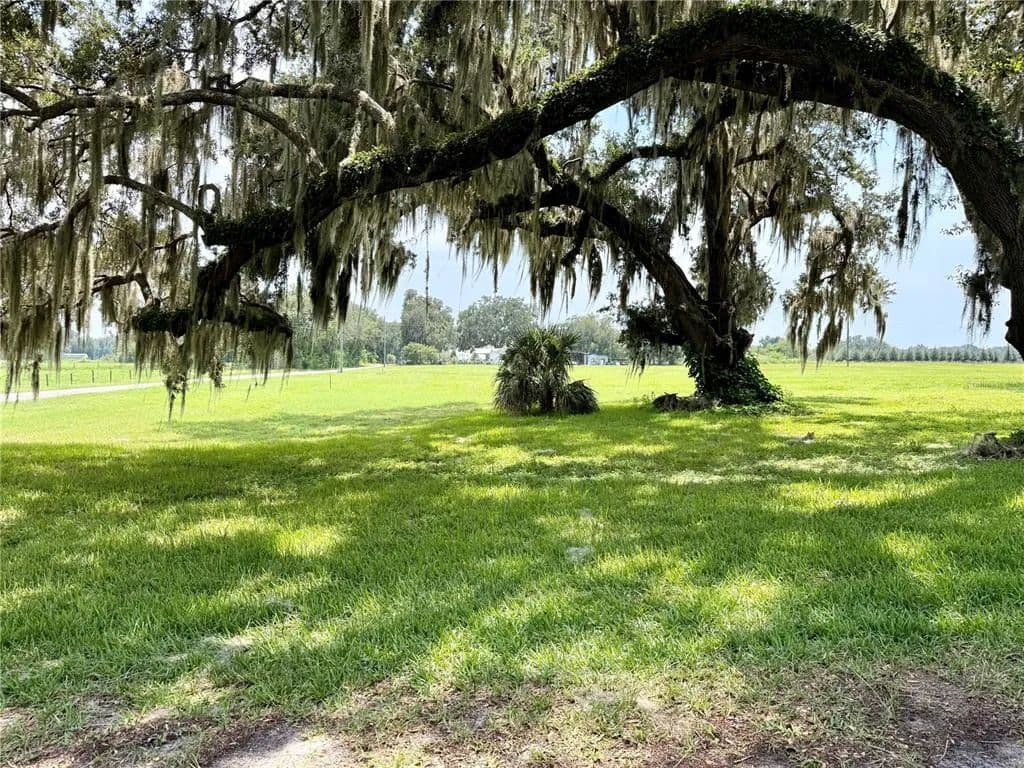 Vacant Land in Center Hill - land for sale