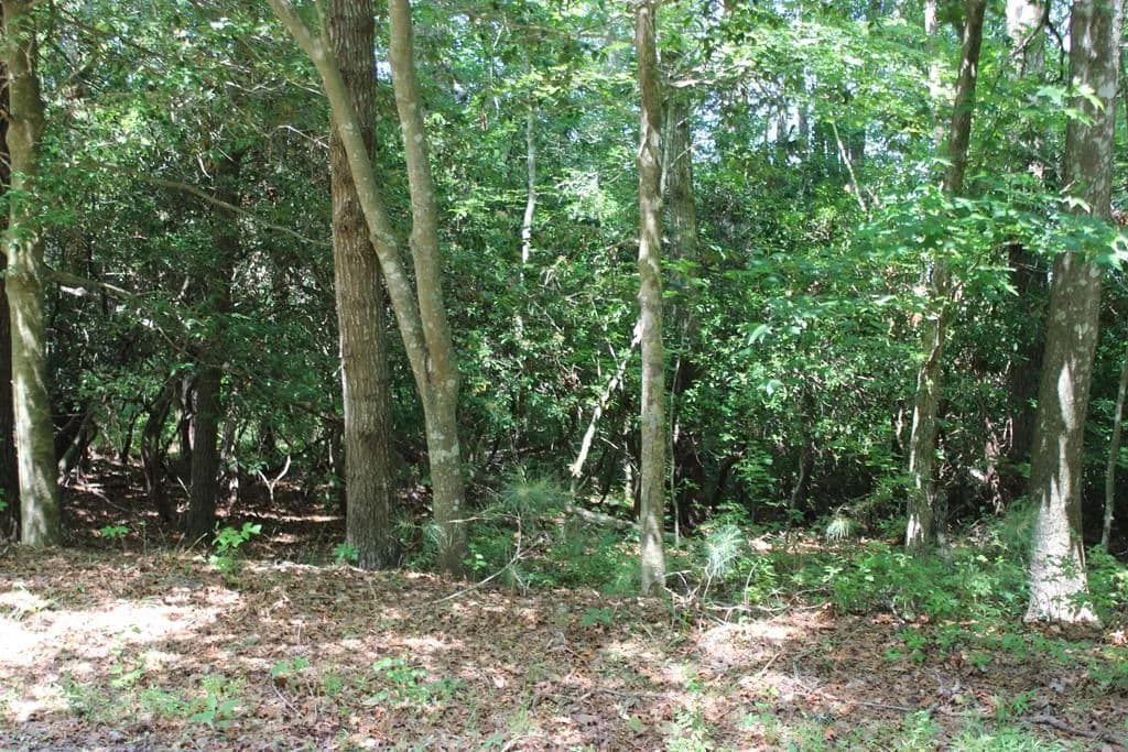 Property from 1950 Buccaneer Blvd #1950 - KW - Greenbackville, Virginia, 23356
