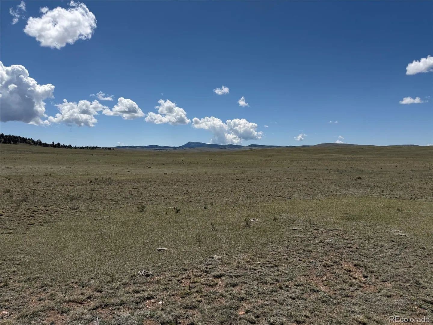 5.3 Acres of Land for Sale in Hartsel, Colorado - Hartsel, Colorado, 80449