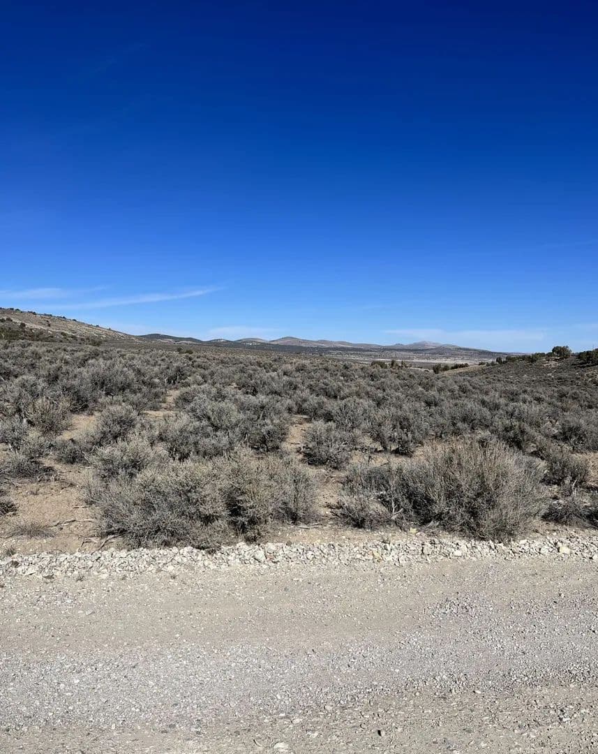 Vacant Land in Spring Creek - land for sale