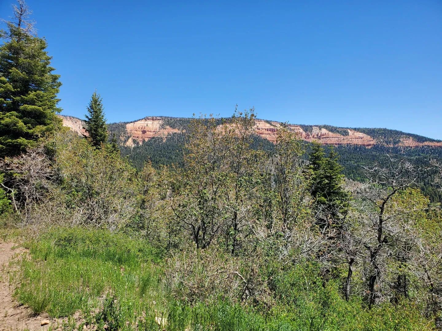 Property from Lot 6 North Fork Estates - KW - Duck Creek Village, Utah, 84762