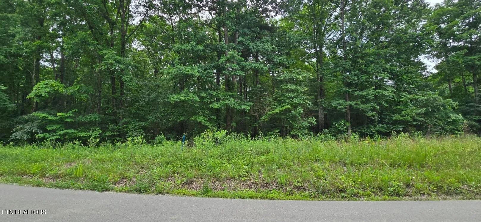 Property from Lot 48-49 Bear Creek Rd - KW - Winfield, Tennessee, 37892