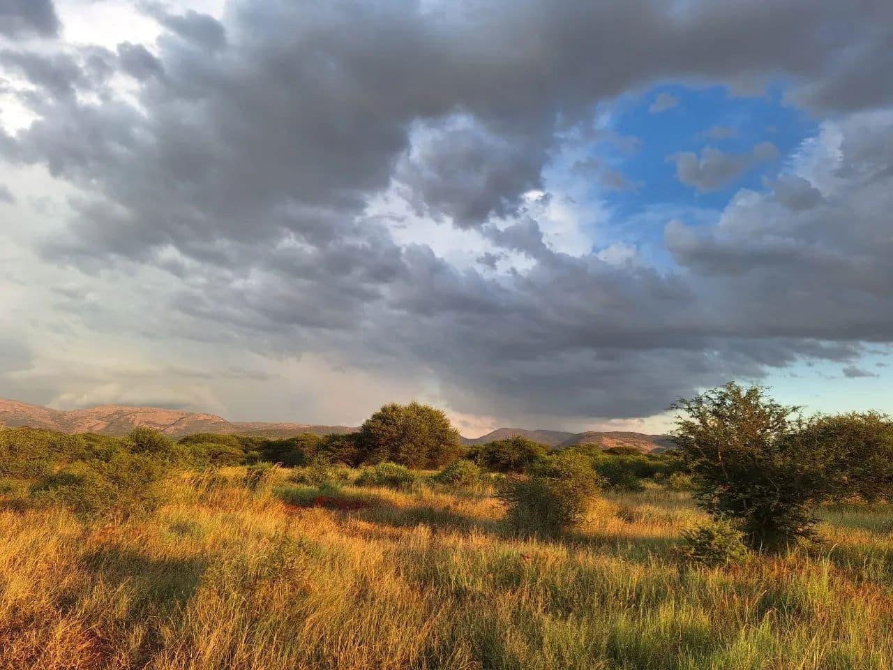 Land for Sale in Mokopane, Limpopo - land for sale