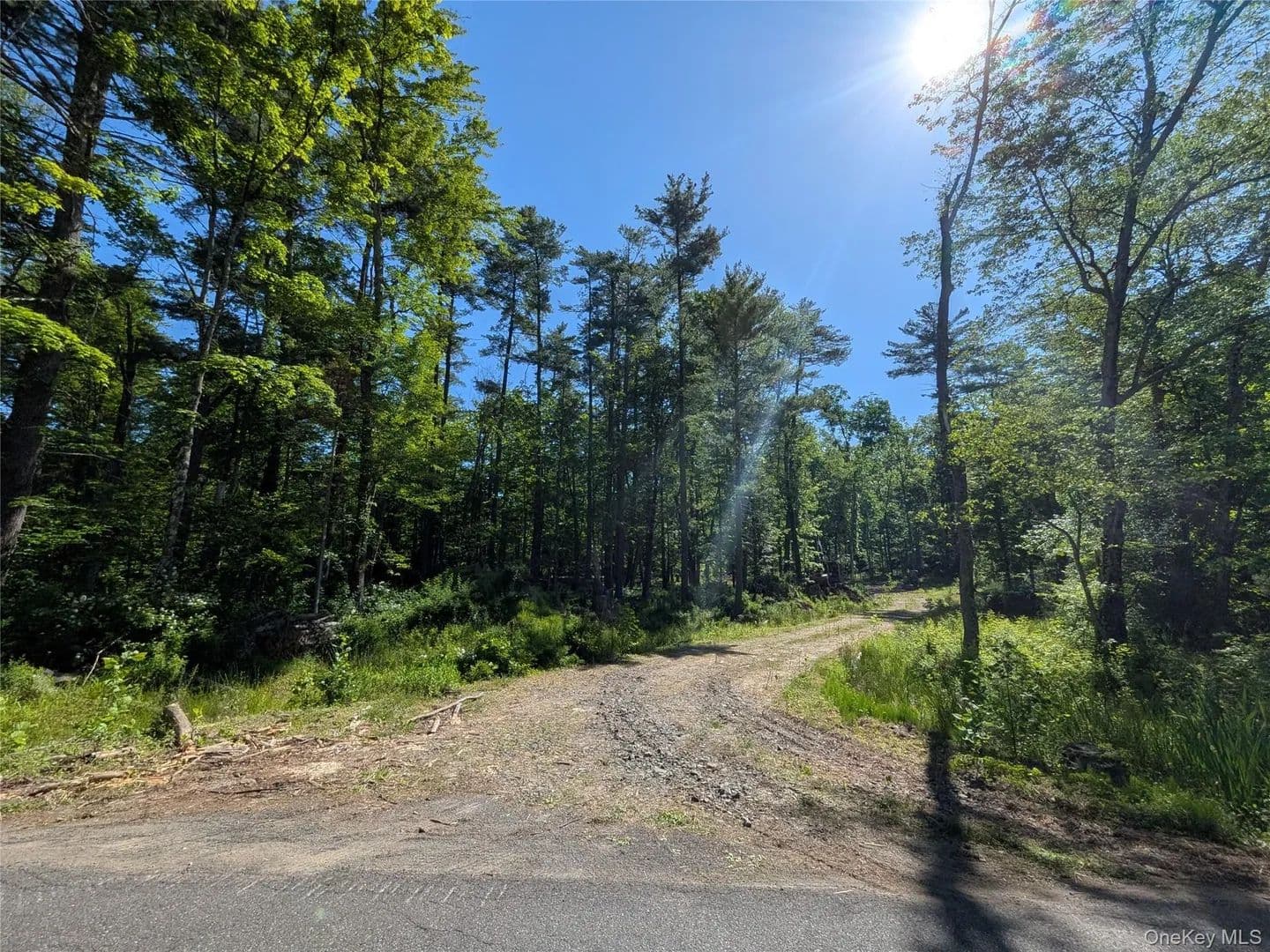 Land for Sale in High Falls, New York - High Falls, New York, 12440