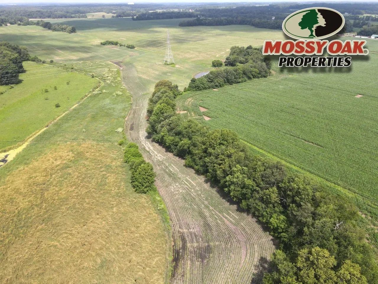 LaPorte County, IN | 38.3± Acres of Productive Tillable Land for Sale - Mill Creek, Indiana, 46365