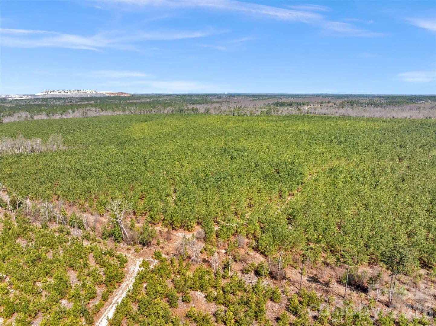 Property from 931 Charlie Johnson Road #2 - KW - Kershaw, South Carolina, 29067