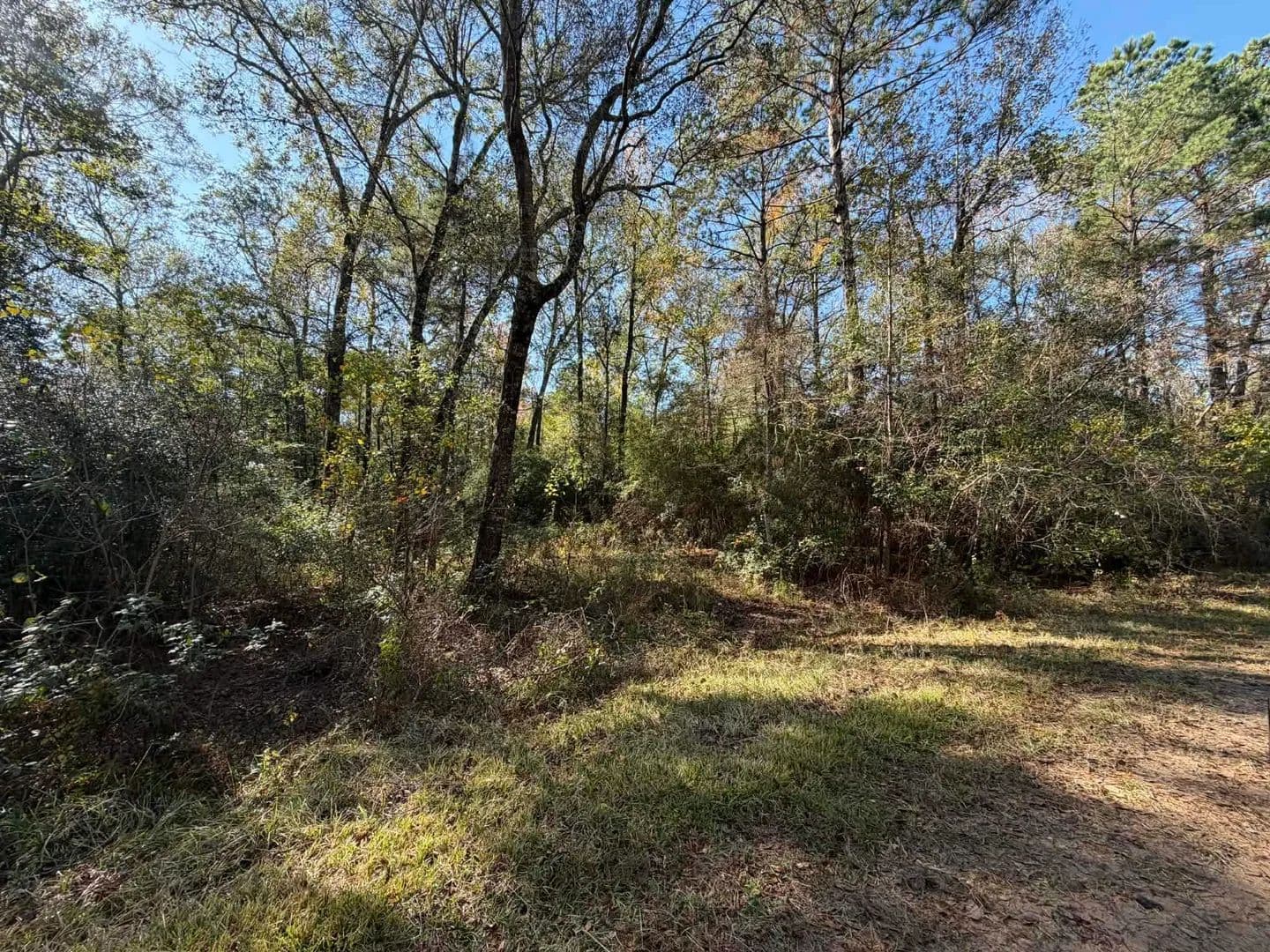 2 Acres of Land for Sale in Hull, Texas - Hull, Texas, 77564