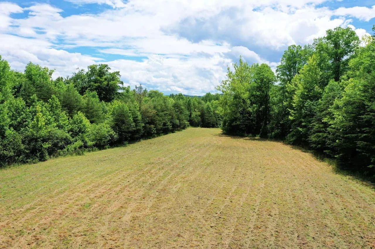 56.8+/- acres of unrestricted multi-use near Lake Lure - Lake Lure, North Carolina, 28746