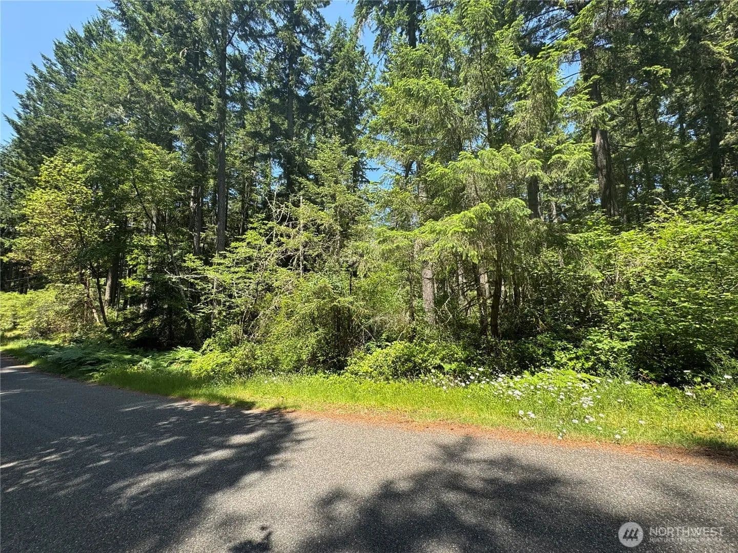 Vacant Land in Anderson Island - Anderson Island, Washington, 98303