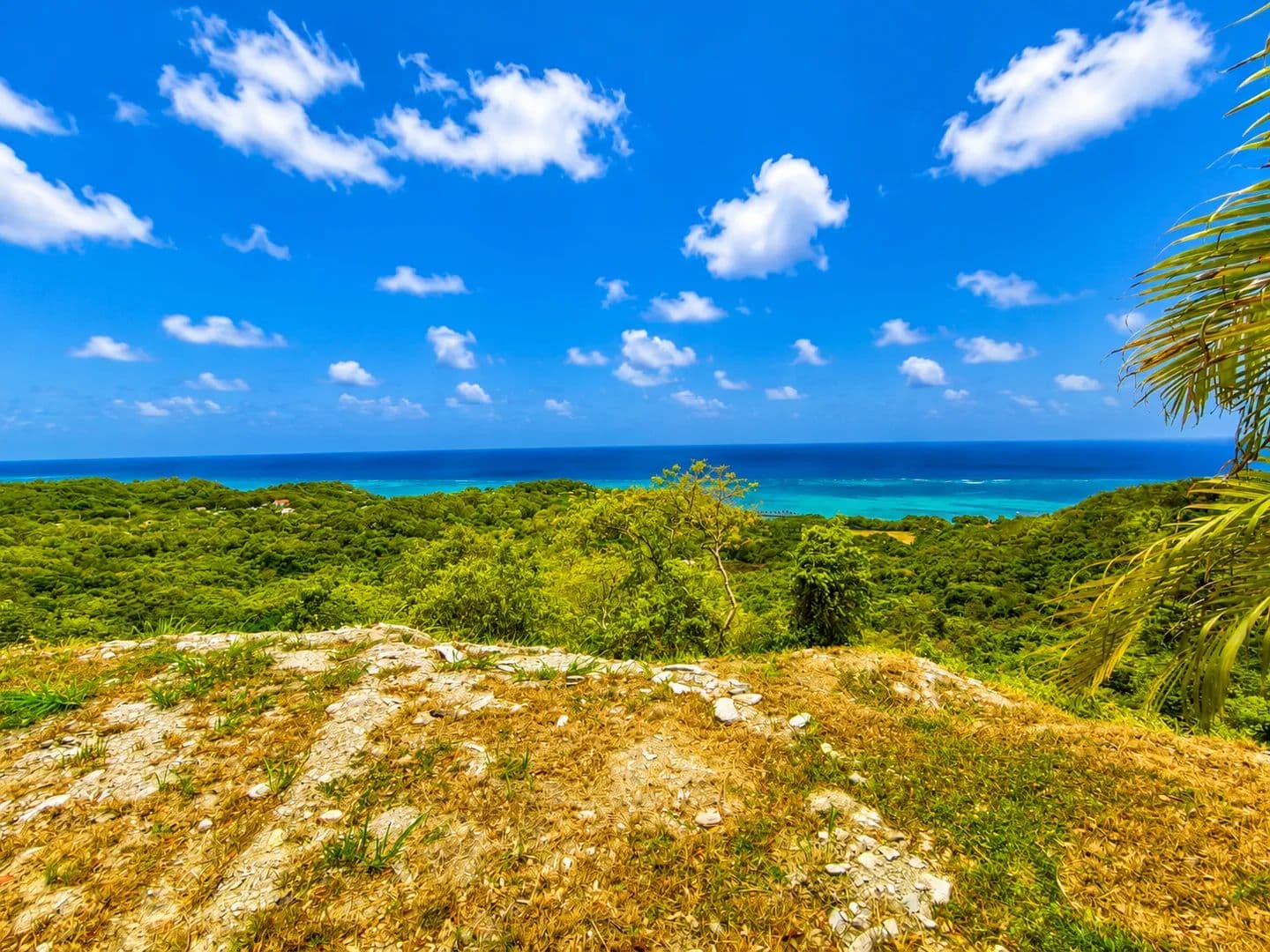 Spectacular Ocean View Lot Aroha Estate - Lot 3B - land for sale