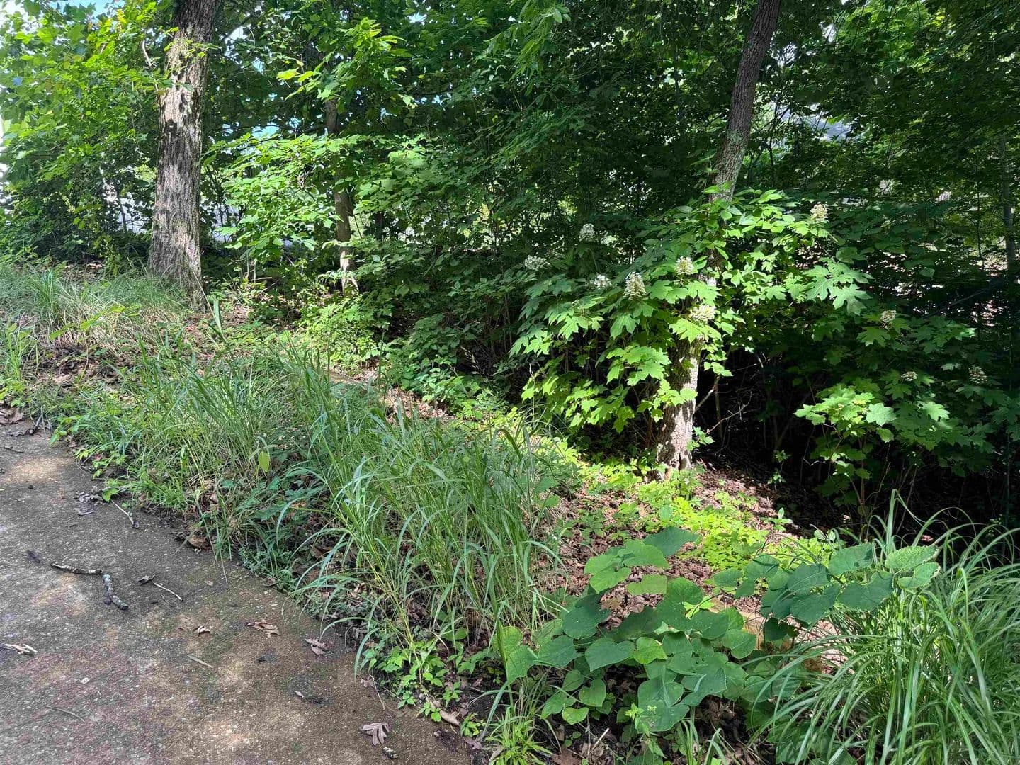 Property from 00 SEVEN OAKS CV - KW - Savannah, Tennessee, 38372