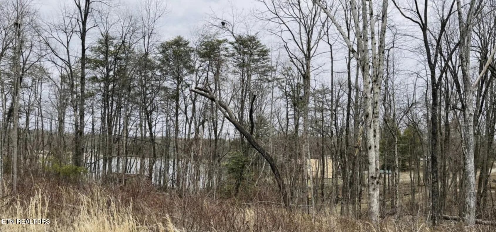 0.3 Acres of Land for Sale in Crossville, Tennessee - Crossville, Tennessee, 38572