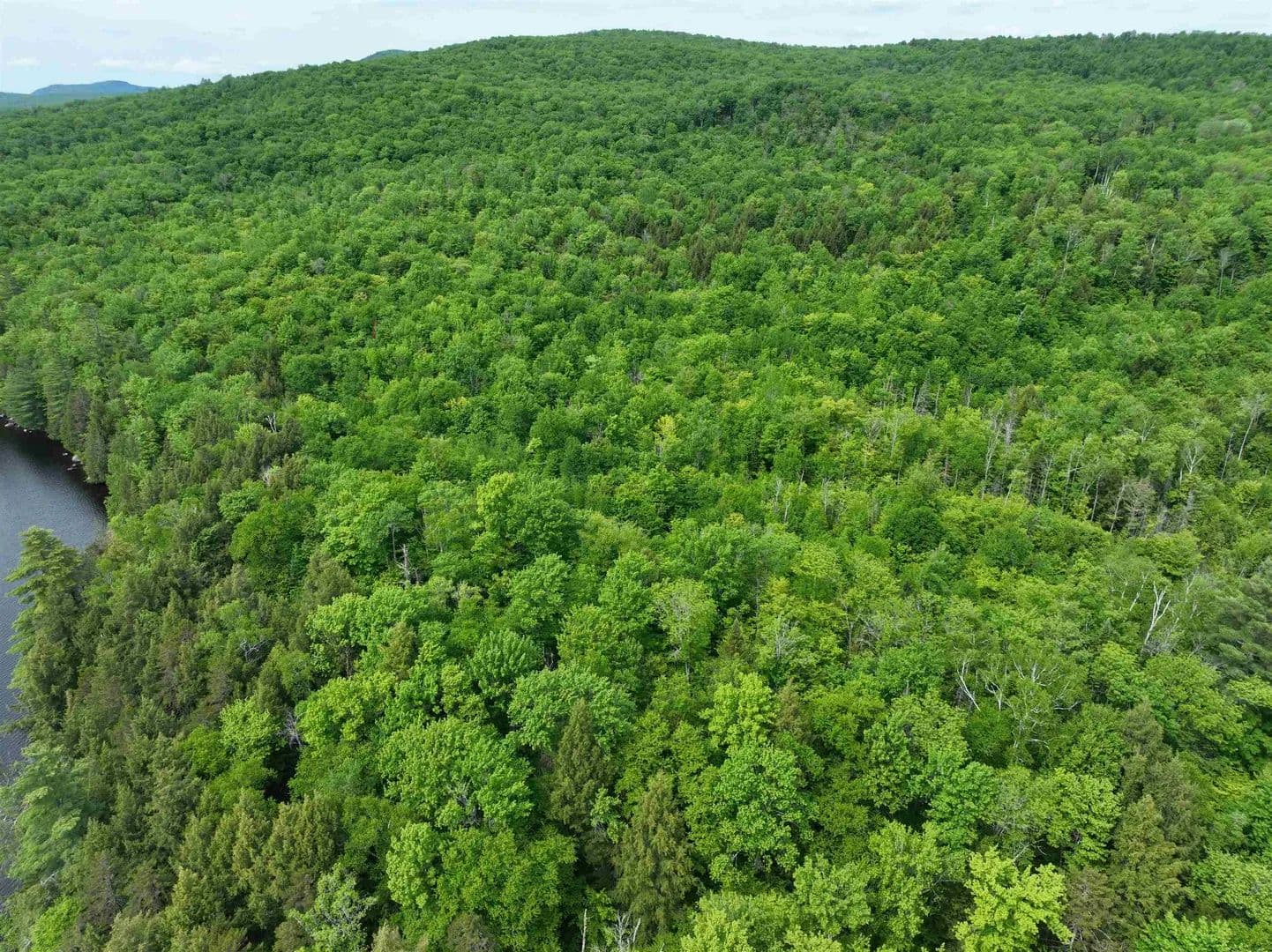 Property from 0 South County Road - KW - Groton, Vermont, 5046