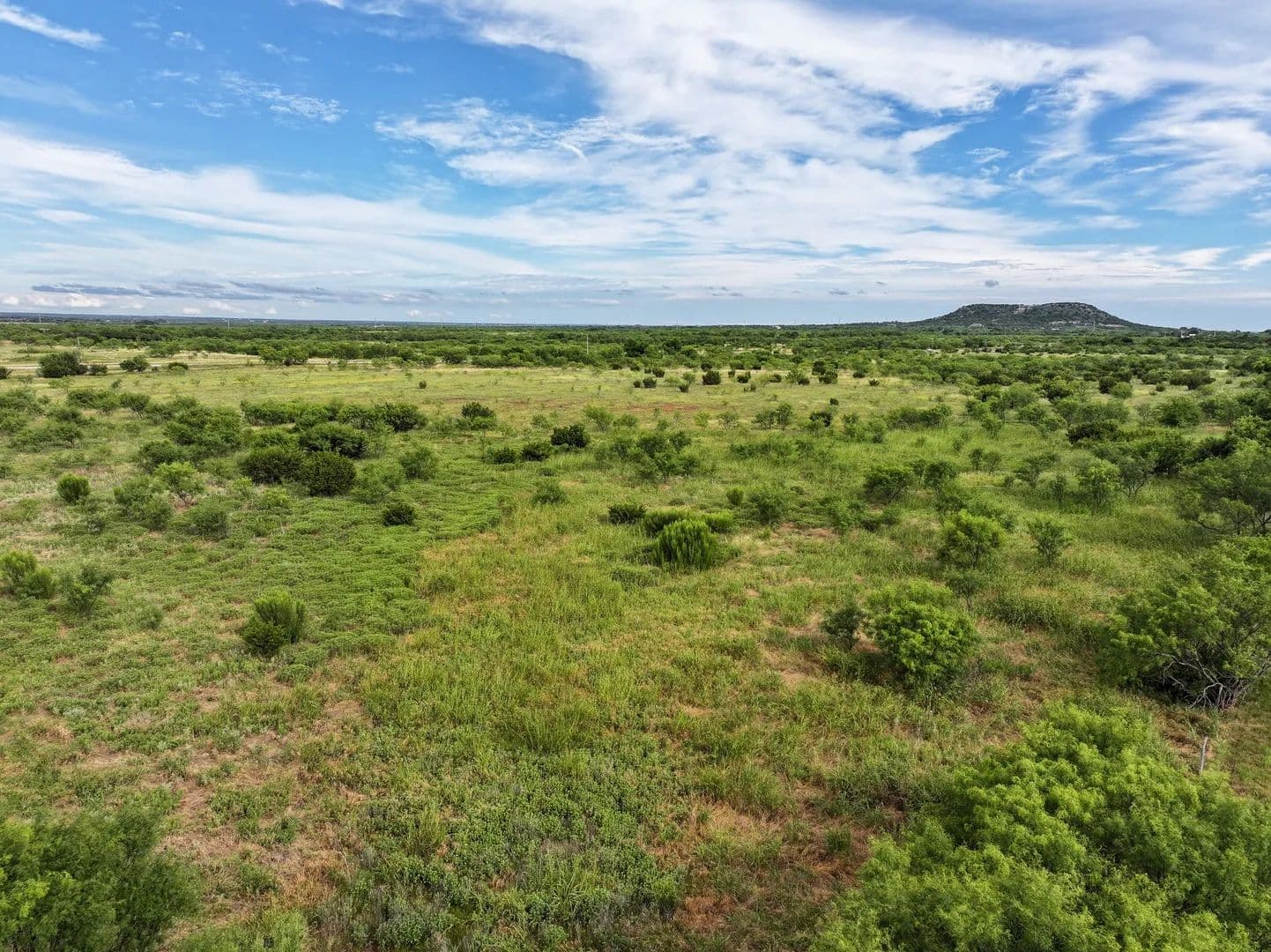 15.26 Acres of Land for Sale in Tuscola, TX - land for sale