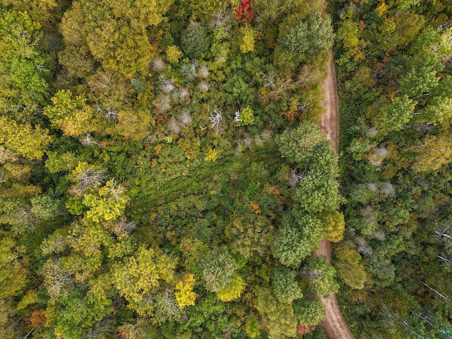 Property from XYZ Caspers Hill Rd - KW - Grand Marais, Minnesota, 55604