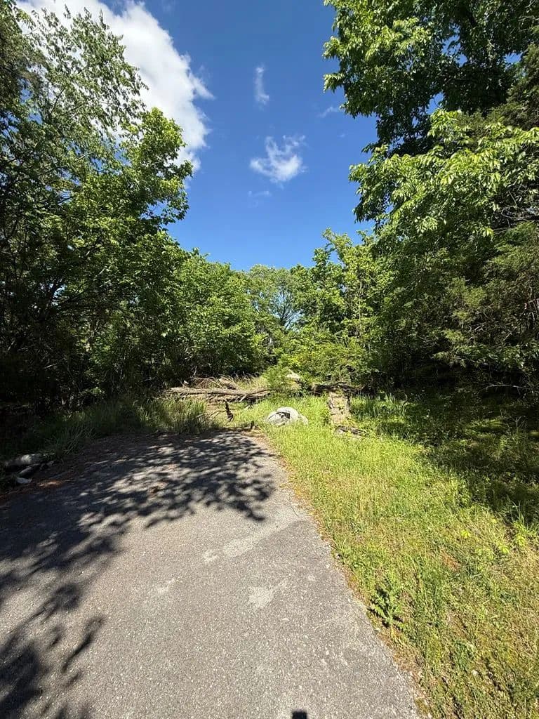 1.22 Acres of Land for Sale in Gainesboro, Tennessee - Gainesboro, Tennessee, 38562