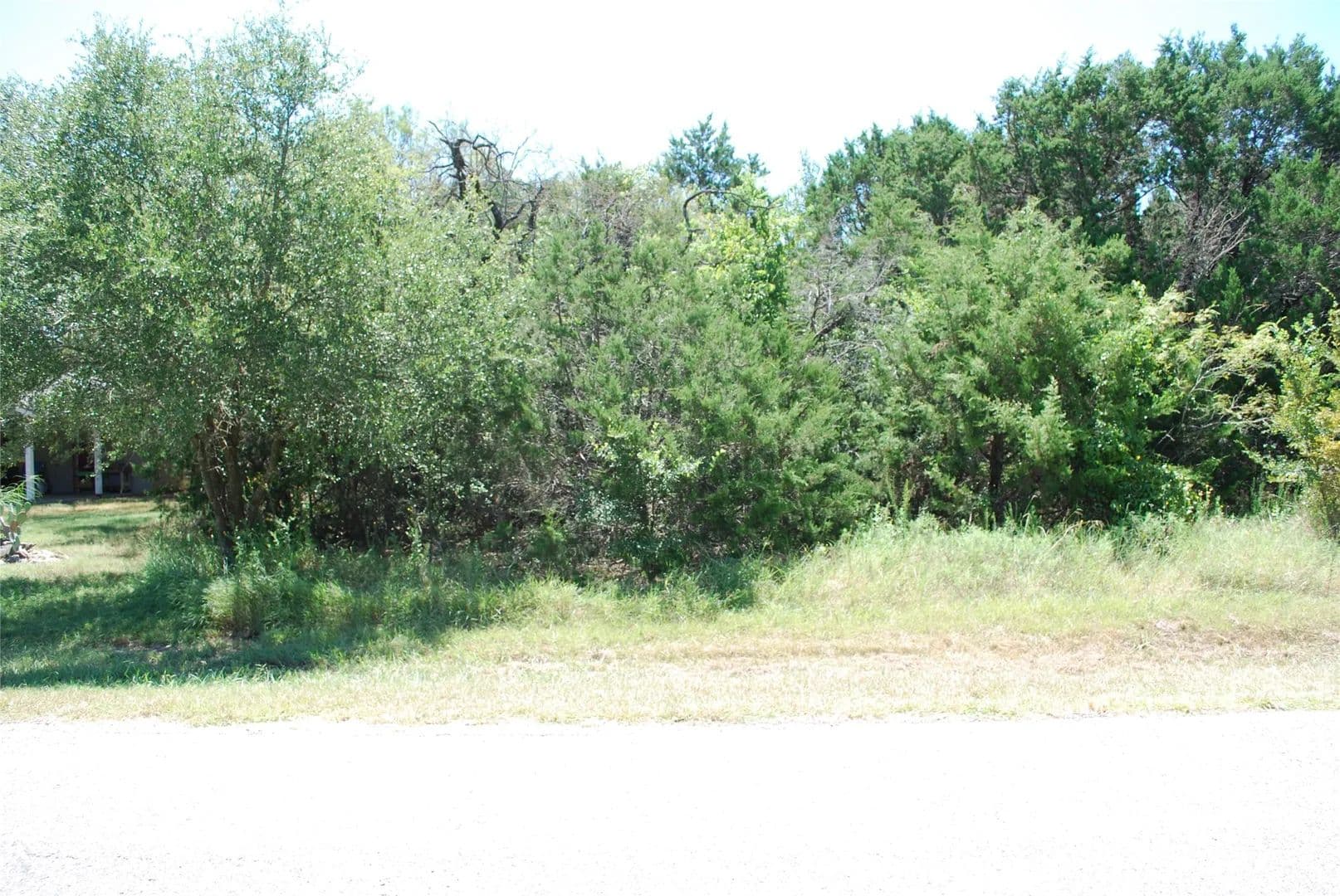 0.29 Acres of Land for Sale in Whitney, Texas - Whitney, Texas, 76692
